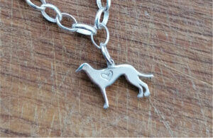 Dog Jewellery_portsmouth-hampshire-west-sussex