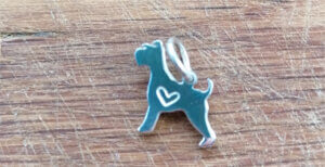 Dog Jewellery_portsmouth-hampshire-west-sussex